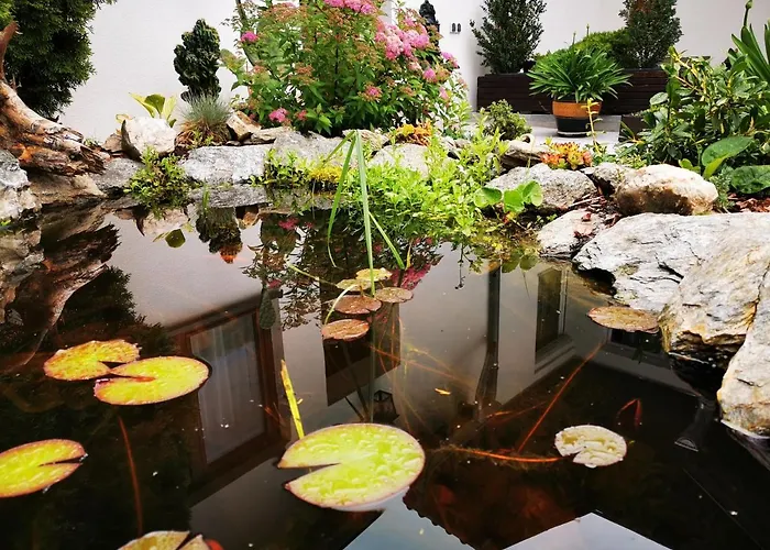 ​gaestehaus Frans-jozef